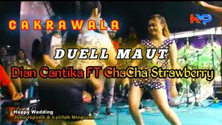 Download lagu OJO NANGIS // DUEL MAUT DIAN CANTIKA  Ft CHACHA STRAWBERRY CAKRAWALA JANDHUT TOGY AUDIO mp3