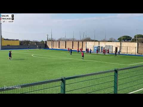 Sintesi | Amici dello Sport vs Tricase | 14/12/2025 | Allievi Provinciali U16