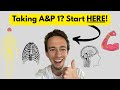Anatomy Physiology 1 ENTIRE Course Explained In One Video