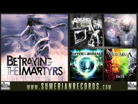 Azalee - Betraying the Martyrs