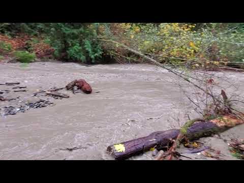 Olsen Creek Flooding Nov 14-15 2021