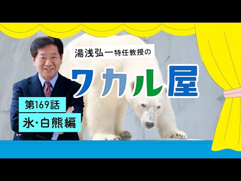 ワカル屋　第169話　氷・白熊編