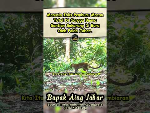 PEMBURU HEWAN DILINDUNGI DI SANGGA BUANA MASUK ATENSI KANG DEDI DAN AKAN DI TELUSURI POLDA JABAR😤