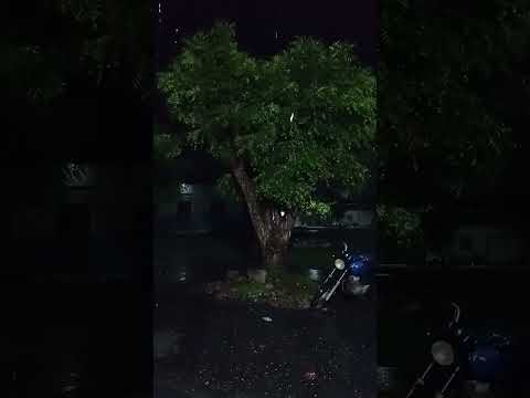 Bastante chuva agora em Santa Quitéria do Maranhão #chuva #noite #deus