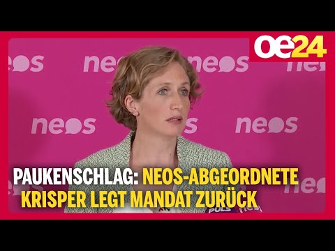 Paukenschlag: NEOS-Abgeordnete Krisper legt Mandat zurück