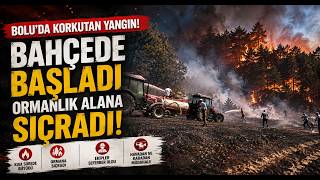  Bolu’da Bahçede Başlayan Yangın Ormanlık Alana Sıçradı