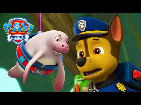 Psi Patrol - Sezon 1 - Odcinek 16 - Akcja ratunkowa manatów