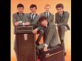 The Hollies Searchin'