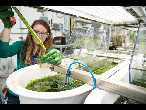 Introduction to Mass Transfer Operations Trailer