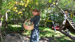 🍎🌽Erntezeit im Selbstversorger-Garten- 🐐🥕 Der klägliche, bittere Rest 😳