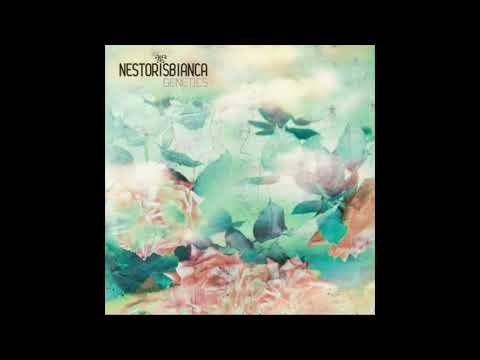 Nestorisbianca - Embrace