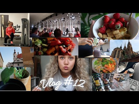 Vlog #12 | Kratší víkendový vlog a shakespearovské slavnosti 🎭