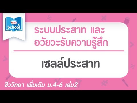 มังกรซื้อทอร์นาโดแรง สิ่งที่สาว ๆ คิดว่าจู๋เล็ก