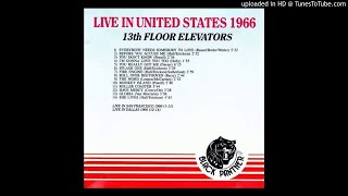 13th Floor Elevators Live in USA. 09 The Word