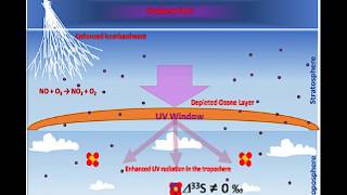 Mainstream: Pole Shift Extinctions | S0 News May.15.2026