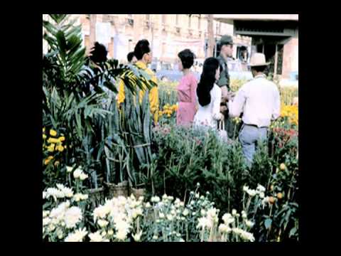 Sài Gòn còn đây niềm nhớ Sheet - Tuấn Ngọc