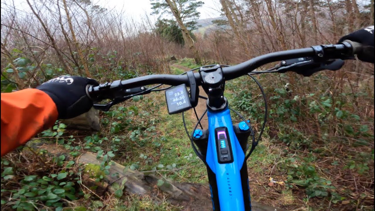 Wacko Jacko and Busy Lizzie #cwmcarn #mtb