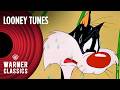 Looney Tunes 1 Hour Tweety Sylvester Compilation Vol 8 Warner Classics