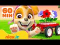 PAW Patrol Pups Grow Plants Flowers W Skye 4 60 Minutes Nick Jr