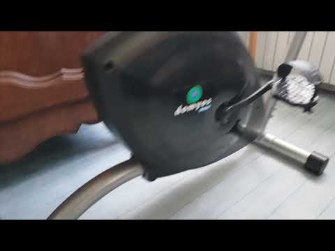 Surcouf des Plumes Salées,  chaton Norvegien mâle, 3 mois, bleu blotched tabby et blanc.