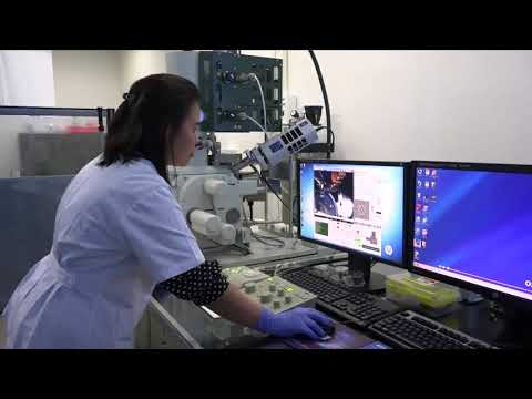 K&iacute;nh hiển vi điện tử qu&eacute;t ph&aacute;t xạ trường điện tử (FE-SEM) - JSM-7610F/JEOL