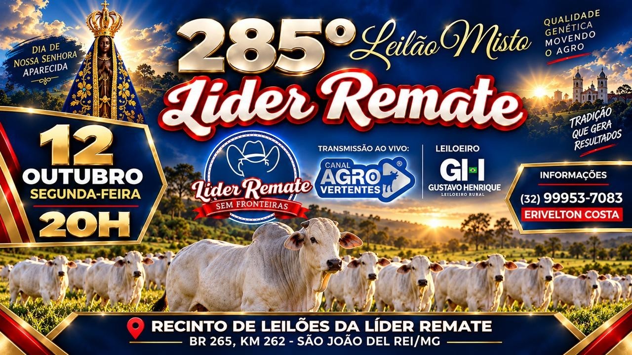 285º LEILÃO MISTO LÍDER REMATE - SÃO JOÃO DEL REI/MG - 12/10/2026