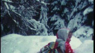 preview picture of video '1980 - Reeën voeren in de winter'