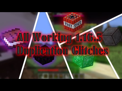 Minecraft Java 1.16.5 All Working Multiplayer Duplication Glitches! (Realms & Paper)
