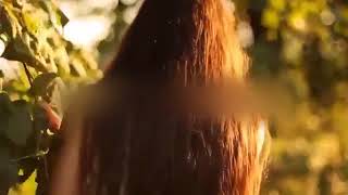 English lady and Knight