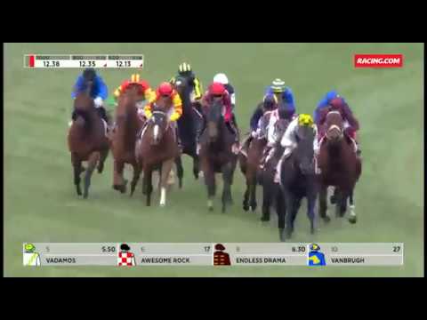 2016 EMIRATES STAKES - Awesome Rock