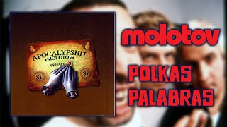 Molotov - Polkas Palabras (Unofficial Lyric Video)