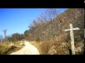 Light of the World - Michael Card 
