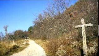 Light of the World - Michael Card