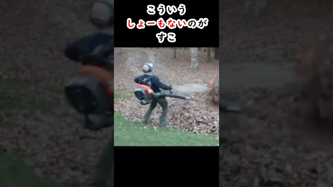 しょーもないのがすこ260405 #おもしろ #面白い #爆笑