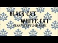 Gymnastics Floor Music Black Cat White Cat 1 27