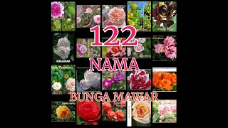 122 NAMA BUNGA MAWAR  #ROSE_ID  #2nd_VIDEOS
