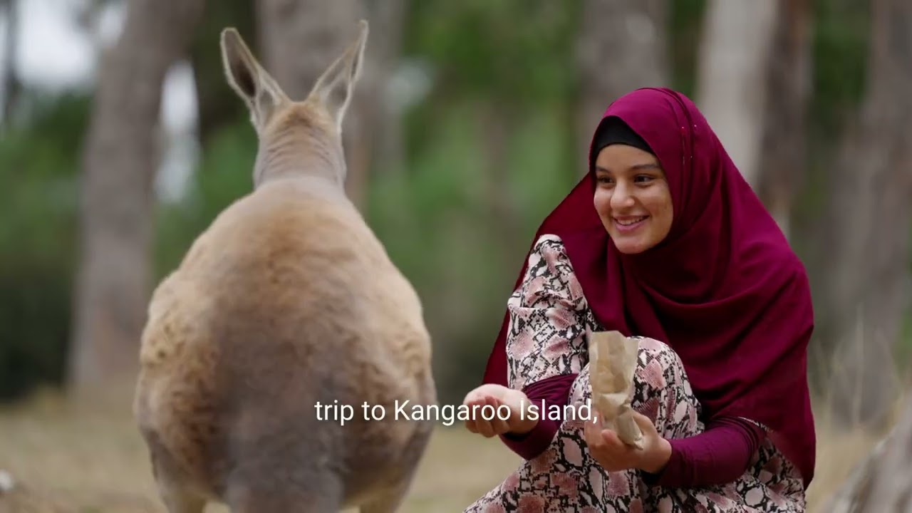 Everything's Closer in Adelaide | Life