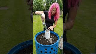 I Built a Greenhouse from an Old Barrel #diy