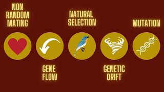 The 5 Mechanisms of Evolution