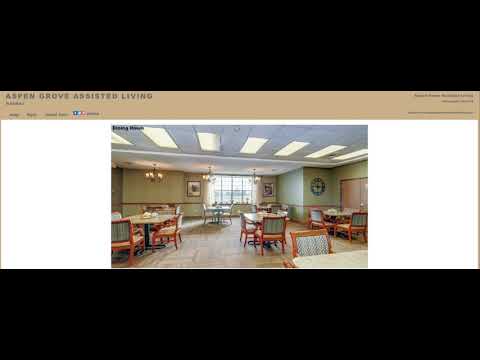 Video 1