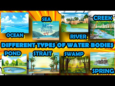 Different Types of water Bodies | Types of Waterforms for kids with pictures and examples