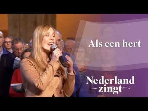 Nederland Zingt: Als een hert