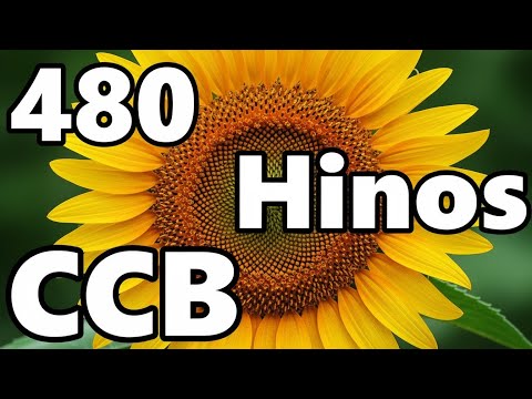 480 HINOS CCB CANTADOS CCB - 25/02/2026 - 186,287,94,95,196,297,398,299,100,101,102,103