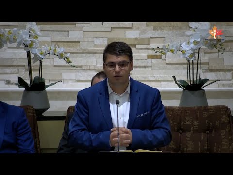 Daniel Bîrsan - Potolirea furtunii