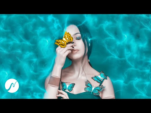 Der GOLDENE Schmetterlingseffekt - 432Hz & Goldener Schnitt (1.618Hz) Positive Schwingungen auslösen