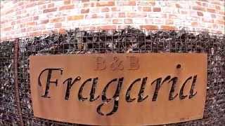 preview picture of video 'B&B Fragaria Hoogstraten'