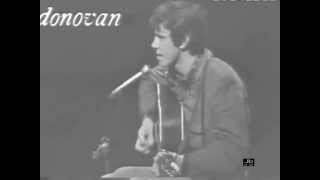 Donovan - Catch The Wind (Shindig)