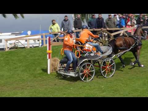Schuiling, Marissa, NED, CH M P A1, A 2, A 4, Minden GER, Marathon Single Ponies, Ob 7, 19 08 2017