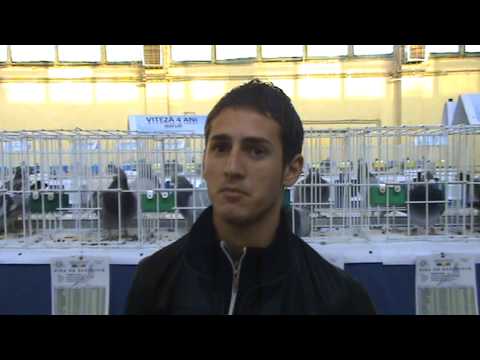 UCPR DB Romania Expo Ardealul dec 2012 interviu columbofil dl Chirita Alexandru