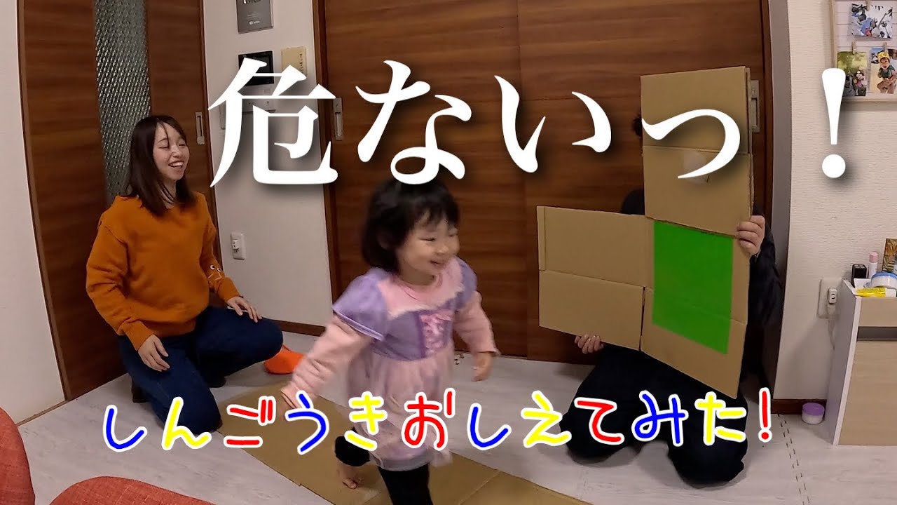 【大失敗】しんごうきの理解に苦しむ...まだ早すぎました。